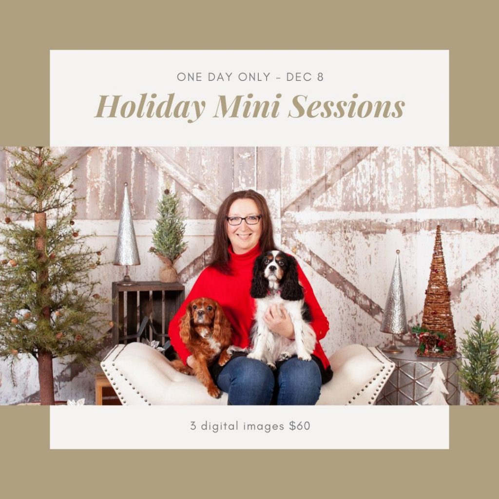 Holiday Mini sessions Dec 8 2019